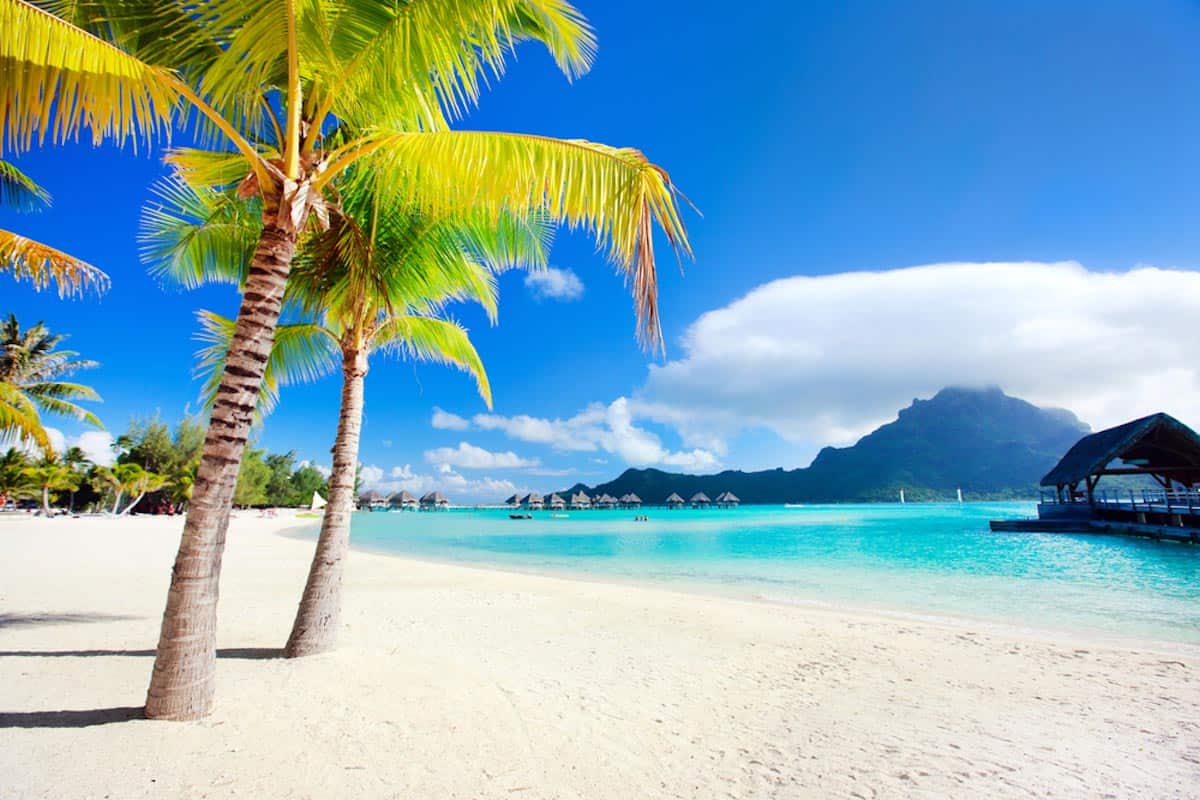Download Soal Spa Polynesia